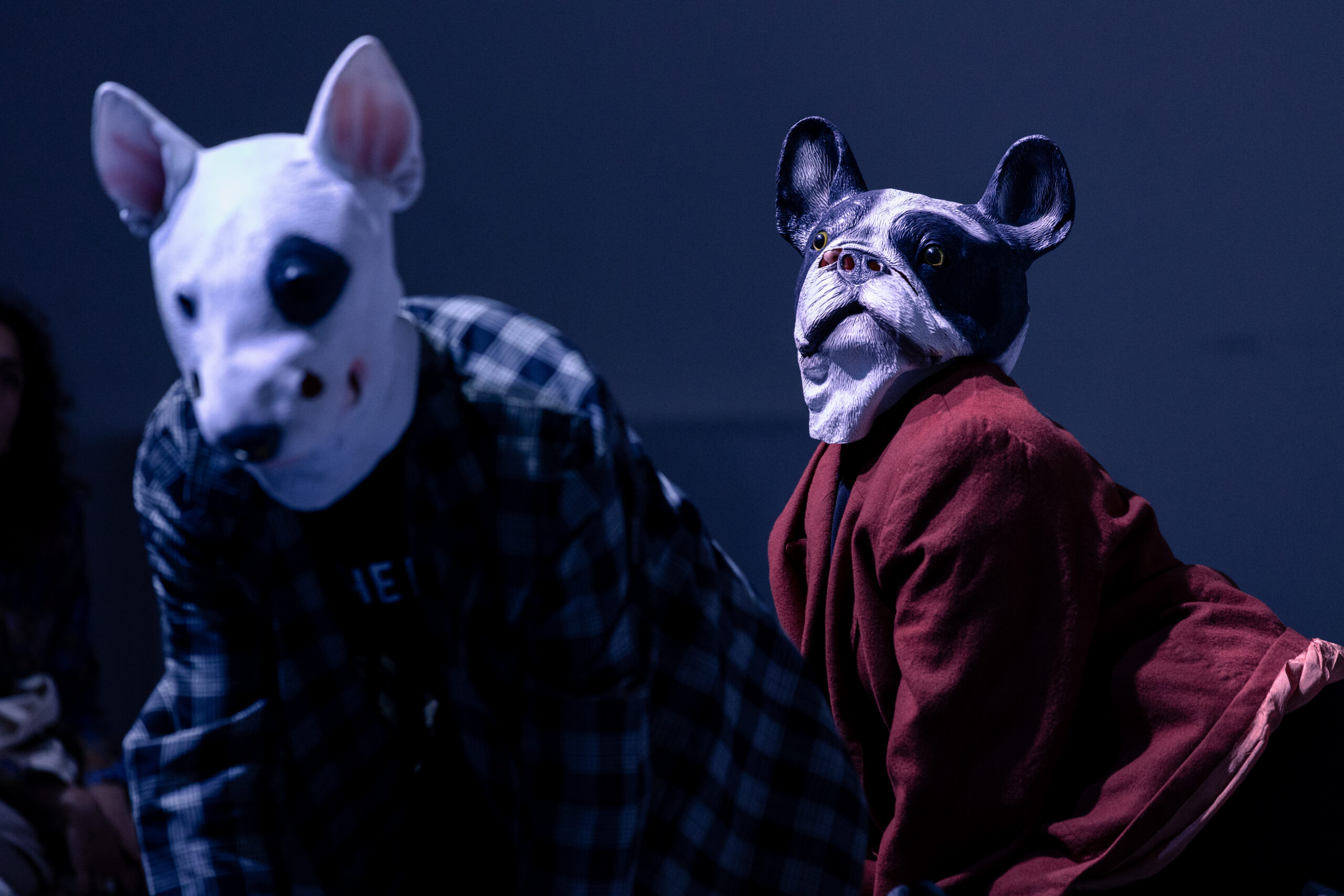 Due performer con delle maschere da cani danzano durante lo spettacolo “Concerto fetido su quattro zampe”.